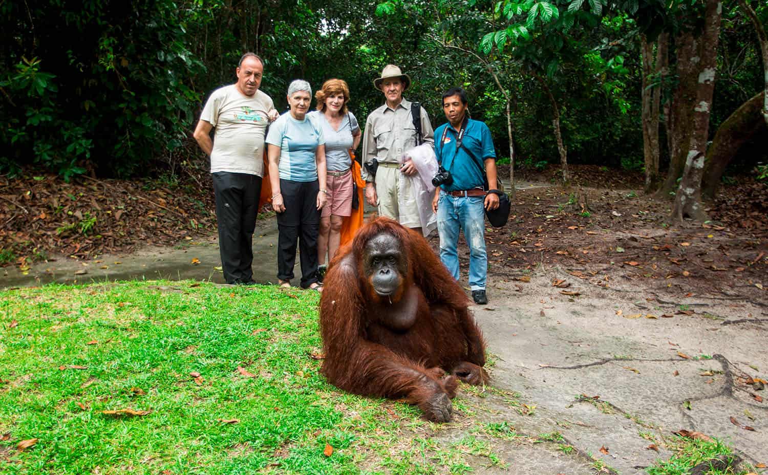 indonesia orangutan tours